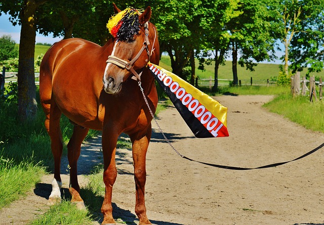 路威表示支持65場出場規則，林書豪具備最佳陣容水平但難以保持賽季穩定表現.