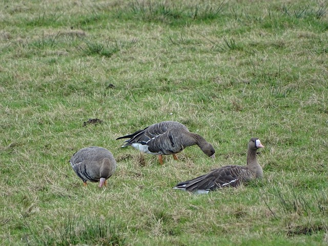 待随后可能 待随后可能