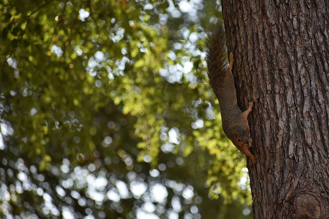 如果文物会说话｜陶寺遗址博物馆寻宝记.