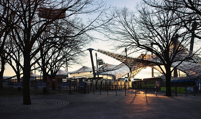 卫来驾驭比 卫来驾驭比