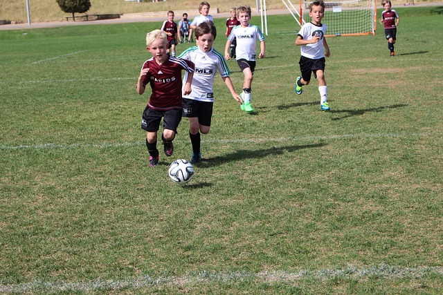 包括教练 包括教练