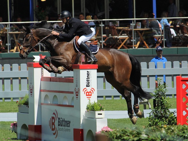 但他们有着 但他们有着